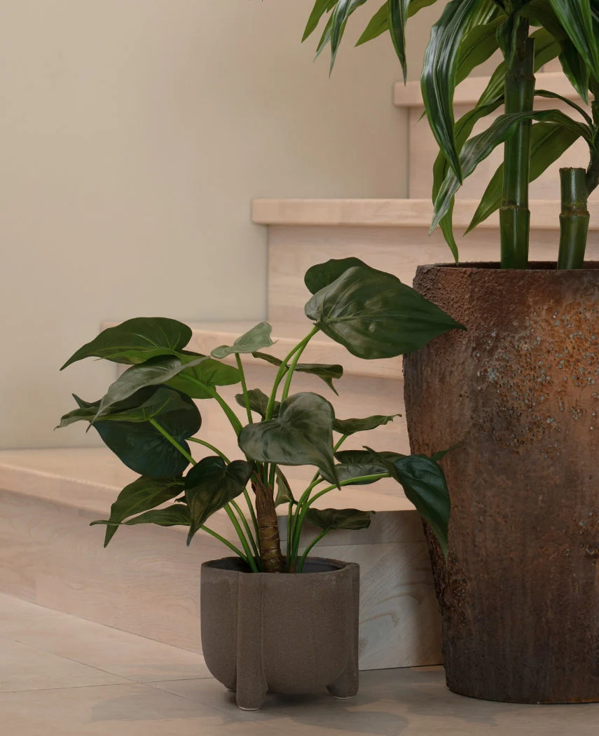 Vorschaubild 2