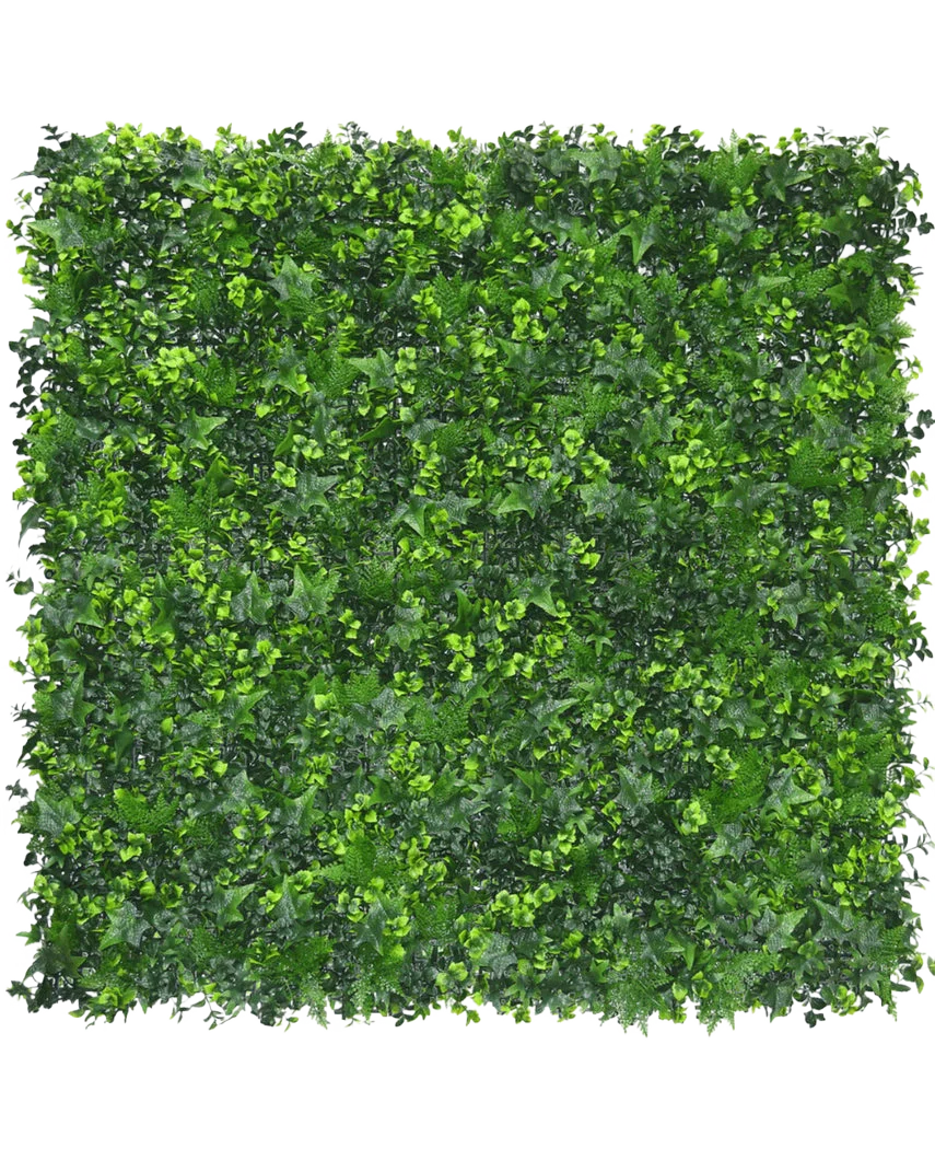Vorschaubild 1