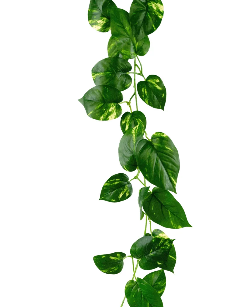 Produktbild 2